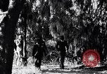 Image of African American people South Carolina United States USA, 1936, second 3 stock footage video 65675031571