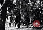 Image of African American people South Carolina United States USA, 1936, second 4 stock footage video 65675031571
