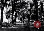 Image of African American people South Carolina United States USA, 1936, second 9 stock footage video 65675031571