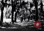 Image of African American people South Carolina United States USA, 1936, second 10 stock footage video 65675031571