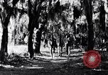 Image of African American people South Carolina United States USA, 1936, second 11 stock footage video 65675031571