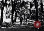 Image of African American people South Carolina United States USA, 1936, second 12 stock footage video 65675031571
