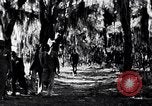 Image of African American people South Carolina United States USA, 1936, second 20 stock footage video 65675031571