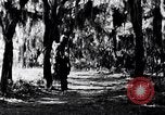Image of African American people South Carolina United States USA, 1936, second 24 stock footage video 65675031571