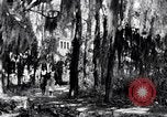 Image of African American people South Carolina United States USA, 1936, second 26 stock footage video 65675031571