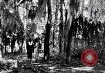 Image of African American people South Carolina United States USA, 1936, second 31 stock footage video 65675031571