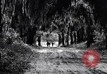 Image of African American people South Carolina United States USA, 1936, second 53 stock footage video 65675031571