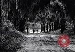 Image of African American people South Carolina United States USA, 1936, second 54 stock footage video 65675031571