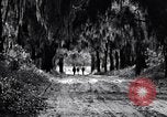 Image of African American people South Carolina United States USA, 1936, second 55 stock footage video 65675031571