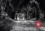 Image of African American people South Carolina United States USA, 1936, second 56 stock footage video 65675031571