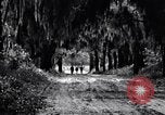 Image of African American people South Carolina United States USA, 1936, second 57 stock footage video 65675031571