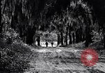 Image of African American people South Carolina United States USA, 1936, second 60 stock footage video 65675031571