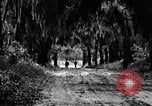 Image of African American people South Carolina United States USA, 1936, second 61 stock footage video 65675031571