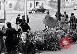 Immagine di Segregazione nel South Carolina South Carolina United States USA, 1936, secondo 29 filmato di repertorio 65675031574