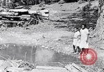 Immagine di La pesca South Carolina United States USA, 1936, secondo 18 filmato di repertorio 65675031577