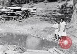 Immagine di La pesca South Carolina United States USA, 1936, secondo 19 filmato di repertorio 65675031577