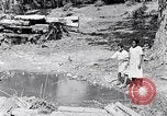 Immagine di La pesca South Carolina United States USA, 1936, secondo 20 filmato di repertorio 65675031577