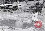 Immagine di La pesca South Carolina United States USA, 1936, secondo 21 filmato di repertorio 65675031577