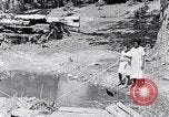Immagine di La pesca South Carolina United States USA, 1936, secondo 22 filmato di repertorio 65675031577