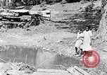 Immagine di La pesca South Carolina United States USA, 1936, secondo 23 filmato di repertorio 65675031577