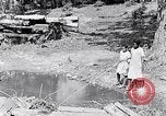 Immagine di La pesca South Carolina United States USA, 1936, secondo 24 filmato di repertorio 65675031577