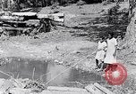 Immagine di La pesca South Carolina United States USA, 1936, secondo 25 filmato di repertorio 65675031577
