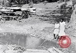 Immagine di La pesca South Carolina United States USA, 1936, secondo 27 filmato di repertorio 65675031577