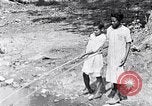 Immagine di La pesca South Carolina United States USA, 1936, secondo 29 filmato di repertorio 65675031577