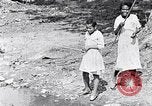 Immagine di La pesca South Carolina United States USA, 1936, secondo 37 filmato di repertorio 65675031577