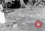 Immagine di La pesca South Carolina United States USA, 1936, secondo 38 filmato di repertorio 65675031577