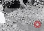 Immagine di La pesca South Carolina United States USA, 1936, secondo 41 filmato di repertorio 65675031577