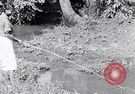 Immagine di La pesca South Carolina United States USA, 1936, secondo 42 filmato di repertorio 65675031577