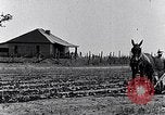 Immagine di Mulo tracciata aratro South Carolina United States USA, 1936, secondo 11 filmato di repertorio 65675031579