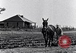 Immagine di Mulo tracciata aratro South Carolina United States USA, 1936, secondo 15 filmato di repertorio 65675031579