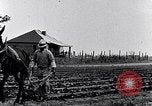 Immagine di Mulo tracciata aratro South Carolina United States USA, 1936, secondo 22 filmato di repertorio 65675031579