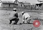 Immagine di Mulo tracciata aratro South Carolina United States USA, 1936, secondo 23 filmato di repertorio 65675031579