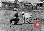 Immagine di Mulo tracciata aratro South Carolina United States USA, 1936, secondo 24 filmato di repertorio 65675031579