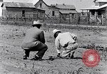 Immagine di Mulo tracciata aratro South Carolina United States USA, 1936, secondo 25 filmato di repertorio 65675031579