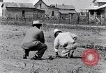 Immagine di Mulo tracciata aratro South Carolina United States USA, 1936, secondo 26 filmato di repertorio 65675031579