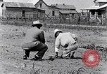 Immagine di Mulo tracciata aratro South Carolina United States USA, 1936, secondo 27 filmato di repertorio 65675031579