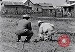 Immagine di Mulo tracciata aratro South Carolina United States USA, 1936, secondo 28 filmato di repertorio 65675031579