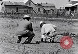 Immagine di Mulo tracciata aratro South Carolina United States USA, 1936, secondo 29 filmato di repertorio 65675031579