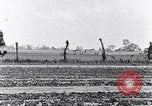 Immagine di Mulo tracciata aratro South Carolina United States USA, 1936, secondo 31 filmato di repertorio 65675031579