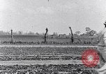 Immagine di Mulo tracciata aratro South Carolina United States USA, 1936, secondo 38 filmato di repertorio 65675031579