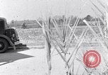 Immagine di Negro persone South Carolina United States USA, 1936, secondo 11 filmato di repertorio 65675031580