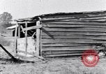 Immagine di Negro persone South Carolina United States USA, 1936, secondo 13 filmato di repertorio 65675031580