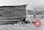 Immagine di Negro persone South Carolina United States USA, 1936, secondo 17 filmato di repertorio 65675031580
