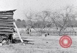 Immagine di Negro persone South Carolina United States USA, 1936, secondo 21 filmato di repertorio 65675031580