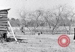 Immagine di Negro persone South Carolina United States USA, 1936, secondo 22 filmato di repertorio 65675031580