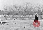 Immagine di Negro persone South Carolina United States USA, 1936, secondo 23 filmato di repertorio 65675031580